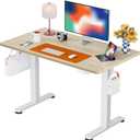 ErGear Height Adjustable Electric Standing Desk, 44 x 24 Inches Sit Stand up Desk, Memory Computer Home Office Desk, Natural