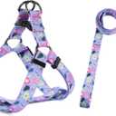QQPETS Dog Harness Leash Set Adjustable Heavy Duty No Pull Halter Harnesses for Small Medium Large Breed Dogs Back Clip Anti-Twist Perfect for Walking (XS, Floral Purple)