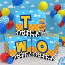 Two Balloon Box Cartoon Birthday Party Supplies Blue Cartoon Party Decorations Two Birthday Decorations for Kids Boys 2nd Party Decor