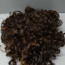 Ponytail Extension, HOOJIH Clip in Ponytail 24 Inch Hair Extension Curly Wavy Ponytail Fluffy Soft Synthetic Fiber Hair Pieces for Women - Chocolate Brown with Golden Highlights