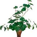 ATFL Fake Tropical Monstera Plant,6 Pcs 32'' Faux Monstera Plant,Artificial Palm Plants Indoor Without Pot (Green)