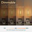ALAMPEVER Modern Wall Sconces with Dimmable T10 LED Bulb, Bright Bathroom Sconces Wall Lighting with Amber Glass, Steel Wall Light fixtures for Bathroom Living Room Hallway Bedroom