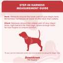 Downtown Pet Supply Step in Dog Harness for Small Dogs No Pull, Medium, Blue - Adjustable Harness with Padded Mesh Fabric and Reflective Trim - Buckle Strap Harness for Dogs