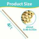 Bamboo Stakes 4FT, 25pcs Plant Stakes, Garden Stakes Specifically Designed for Climbing Plants, Ideal for Tomatoes, Beans, Cucumbers, Peppers, Vines, and More Plant Growth