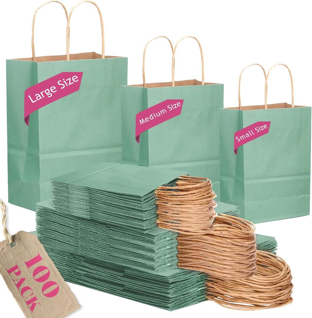 qiqee 100PCS Gift Bag with Handles Bulk Kraft Light Blue Paper Bags Assorted Sizes(33pcs Large 13",33pcs Medium 11",34pcs Small 8")