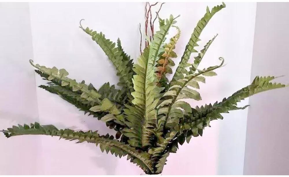 Boston Fern Silk Arrangements Artificial Flowers