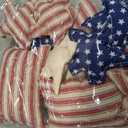 Gemscream 12 Pcs 4th of July Vintage Fabric Hanging Ornaments Patriotic Stuffed Star 250th Anniversary Red Blue White Star American Flag Memorial Day Decorations Independence Day Bowl Filler DIY Craft