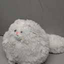 Winsterch Stuffed Animal Plushie Cat Stuffed Animal, Cute Soft Plush Cat Animals, White Stuffed Cat, Birthday for Kids, Boys, Girls, Fat Cat Stuffed Toy (White, 10 Inches)