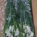 TURNMEON 20 Bundles Calla Lily (400 Heads) Artificial Flowers for Outdoors, Fake Plants UV Resistant Faux Plastic Fake Flowers for Indoor Planter Home Porch Yard Spring Summer Cemetery Decor(White)