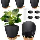 6 Inch Self Watering Pots for Indoor Plants(5-Pack) Small Plastic Planters with Water Level Window, Drainage Holes & Detachable Trays, Indoor Outdoor Flower Pots for Herbs, Snake,Pothos(Black)