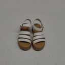 Kids Shoes Blowfish Malibu, Size 13M