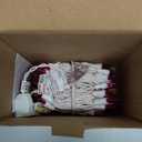 Brizled Christmas Lights, 600 Count 139.2ft Incandescent Mini Lights, Connectable 120V UL Certified for Xmas Wedding Bedroom Porch Decor, White Wire, Warm White