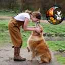 3 x Dog Memorial Gifts for Loss of Dog Suncatcher, White Angel Dog on Sunset Moon Dog Beverage Acrylic Ornaments Decor Window Wall Sympathy Gift for Dog Lover