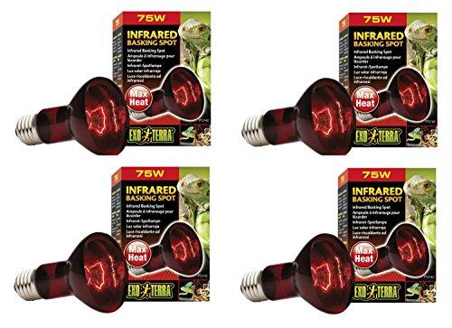 Exo Terra Heat-Glo Infrared Spot Lamp, 75-Watt/120-Volt (12 Pack)