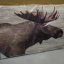 ARTISTIC PATH Elk Pictures Canvas Wall Art: Wildlife Animals Artwork Print on Wrapped Canvas Paintings for Living Room (36''W x 24''H,Multi-Sized) (Deer)