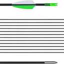 LWANO 31" Training Arrows-Archery Practice Target Arrows for Kids Youth or Beginners with Durable Shaft on Recurve Bow Compound Bow and Longbow (12pas Arrows, Green)