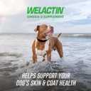 Nutramax Welactin Omega 3 Fish Oil for Dogs, Skin and Coat Health Supplement, Plus Immune and Overall Health, Premium Omega 3 Fatty Acids, Multivitamin For Dogs, Soft Chews, 60 Count