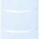 Pool Filter Compatible with C-8412, PA120, C1200, CX1200RE, FC-1293, Clearwater II 125, Pro Clean 125,1 Pack