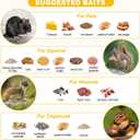 Squirrel Trap Live Animal Humane Cage Trap Catch Rats, Mice, Chipmunk, Weasel and Other Rodents for Indoor and Outdoor