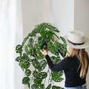 Large Fake Hanging Plants in Pot with Hook, 37" Artificial Hanging Monstera Albo Vines Plants, Fake Potted Greenery Plant for Room Wall Living Room Bathroom Kitchen, Big Faux Ivy Houseplants for Shelf