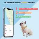 2-in-1 GPS Tracker for Dogs: Smart Pet Collar with Real-Time Tracking,No Monthly Fee/Subscription (iOS Only) Waterproof, Anti-Lost,365-Day Long Battery Life GPS Tracker Dog Collar(Tracker Included), Size: L(12.5''-21'')