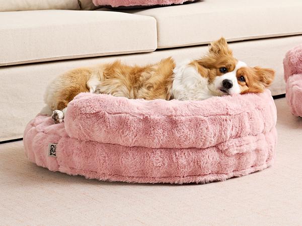 Pink Whey Ciga Dog Bed