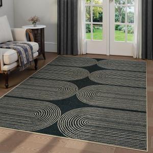 LIVEBOX Rainbow Easy Jute Outdoor Rug 5x7, Washable Area Rugs for Living Room Patio Farmhouse Indoor Outdoor Rug, Non Slip Modern Neutral Floor Carpet for Office Backyard Office Foyer (5'x7', Black)