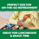 Ocean Spray 100% Apple Juice Cups, 4 Ounce (Pack of 48) (EXP 06/06/26)