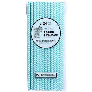 Jacent Stylish Biodegradable Paper Straws, 24 Count per Package 2-Pack Blue