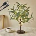 Fudios Little Lighted Tree with Timer 18in 50 LED USB Battery Operated Table Top Bonsai Olive Trees Light Artificial Plant for Home Decor Indoor