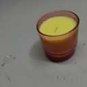 Paddywax Candles Al Fresco Collection Naturally Scented Candle in Reusable Glass Tumbler, 7 Ounces, Rosewood Vanilla
