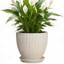 Ceramic Flower Pots, 8 Inch Plant Pot with Saucer, Cream White