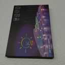 2 Pack Fengyan Landscape Lights 