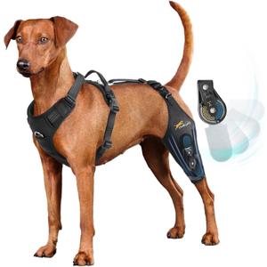 Dog Knee Brace for Torn acl hind Leg with Adjustable Hinge Stabilizer, Dog Back Brace for Osteoarthritis, Dog Leg Brace Support for Cruciate Ligament Injury,Recovery After(Left Leg,XL)