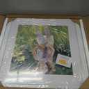 THREELOVE White 17x17 Frame with 13x13 Mat Opening Picture Frame -1PC