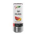 CELSIUS Sparkling Watermelon Lemonade, Sugar Free Energy Drink, 12 Fl Oz (Pack of 12)