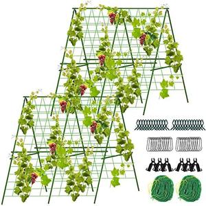 TOCCYARD 2 Sets 48”x 48”Foldable Cucumber Trellis Set, A-Frame Garden Trellis for Climbing Plant Outdoor, Detachable Cucumber Trellis for Raised Bed, Plant Grow Support for Tomato, Squash, Vegetable