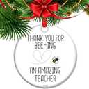 Thank You for Being an Amazing Teacher Ornament Christmas Teacher Gift Appreciation Present Ceramic Apple Keepsake School Decor (C12)