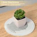 Plant Saucers for Flower Pots, 3 Pack 6 Inch Plant Pot Saucers, Round Water Catcher Drip Tray, Diatomaceous Earth, Dry Instantly, Keep Clean, Bottom Drain Plate Dish for House Plants