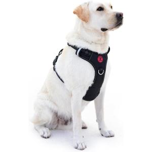 No Pull Dog Harness for Medium Dogs, 4 Secure Quick-Release Buckles & 2 Metal Leash Clips, Soft Control Handle, No-Choke Fit for Walking, Training & Everyday Use, Black, M