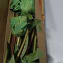 Hananona Artificial Roses Flowers for St. Patrick's Day，12 Pcs Silk Green Rose Bouquet for Spring Home Decoration, Green Faux Roses for Wedding