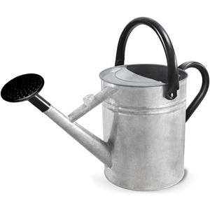 1 Gallon Metal Watering Can with Removable Spout, Nice Galvanized Steel Water Can for Indoor and Outdoor Plants (House Plants)