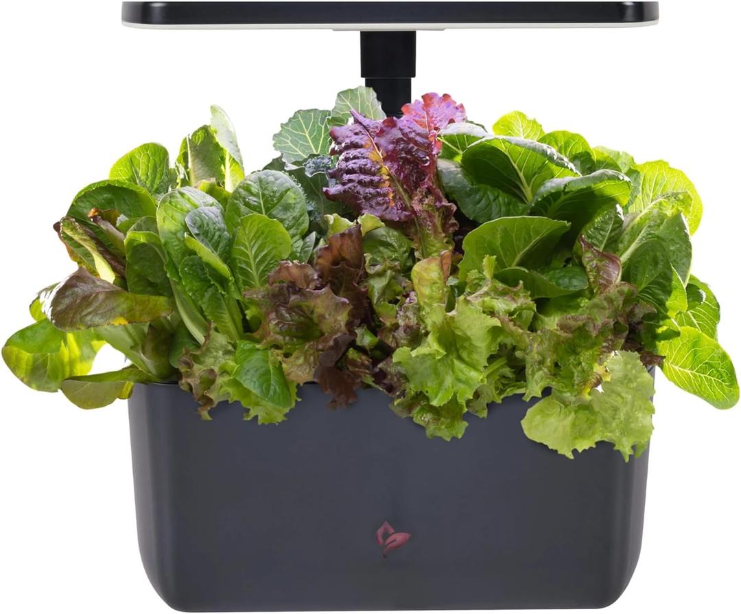 AeroGarden Harvest 2.0, Indoor Garden Hydroponic System with LED Grow Light, Holds up to 6 AeroGarden Pods, Charcoal AeroGarden Harvest 2.0, Indoor Garden Hydroponic System with LED Grow Light, Holds up to 6 AeroGarden Pods, Charcoal