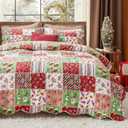 Bedsure Christmas Quilt Set Queen - Red Quilts for Queen Size Bed, Multicolor Patchwork Printed Pattern Christmas Bedding Set - Soft Microfiber Lightweight Coverlet Bedspread (90"x96", 3 Pieces)