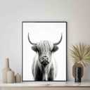 Highland Cow Art Prints Posters, Black and White Animal Photography Wall Art, Wildlife Nature Photo, Exotic Animal Wall for Bathroom Bedroom Decor 71 (Highland Cow, 20"L x 16"W, Unframed)
