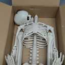 Halloween Skeleton Decorations, 36" Posable Human Skeleton Decorations for Halloween Party Decor, Haunted House Props Indoor Outdoor Decoration