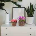 YARNOW Wood Bark Flower Pot, 8 Pcs Tree Stump Planter Pot for Succulents, 2 Sizes, Light Brown Wooden Buckets for Indoor and Outdoor Use