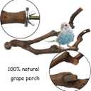 kathson Natural Parrot Perch Bird Stand Pole Wild Grape Stick Paw Grinding Fork Parakeet Climbing Standing Branches Toy Chewable Cage Accessories for Small Budgies Cockatiels Lovebirds 3PCS