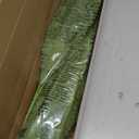 FOREST PRINCE 35" Ferns Artificial Bush Plants Large, 2 Artificial Boston Ferns with 39 Fronds for Outdoors Home Decor