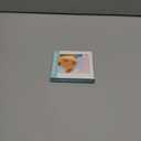 DLseego Cute Fox Game Case For Switch Lite / Switch / Switch OLED, 12 Slots Game Cards Holder and 12 Micro SD Card Slots, Portable Game Card Storage Cartridge Box